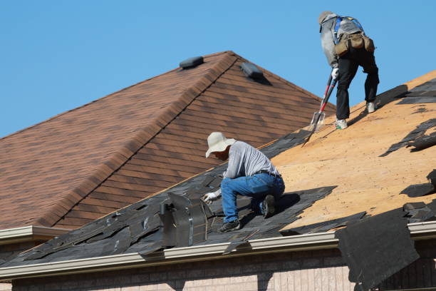 Best Metal Roofing Installation  in Mount Olive, MS