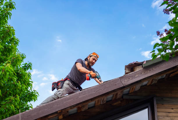 Best Storm Damage Roof Repair  in Mount Olive, MS